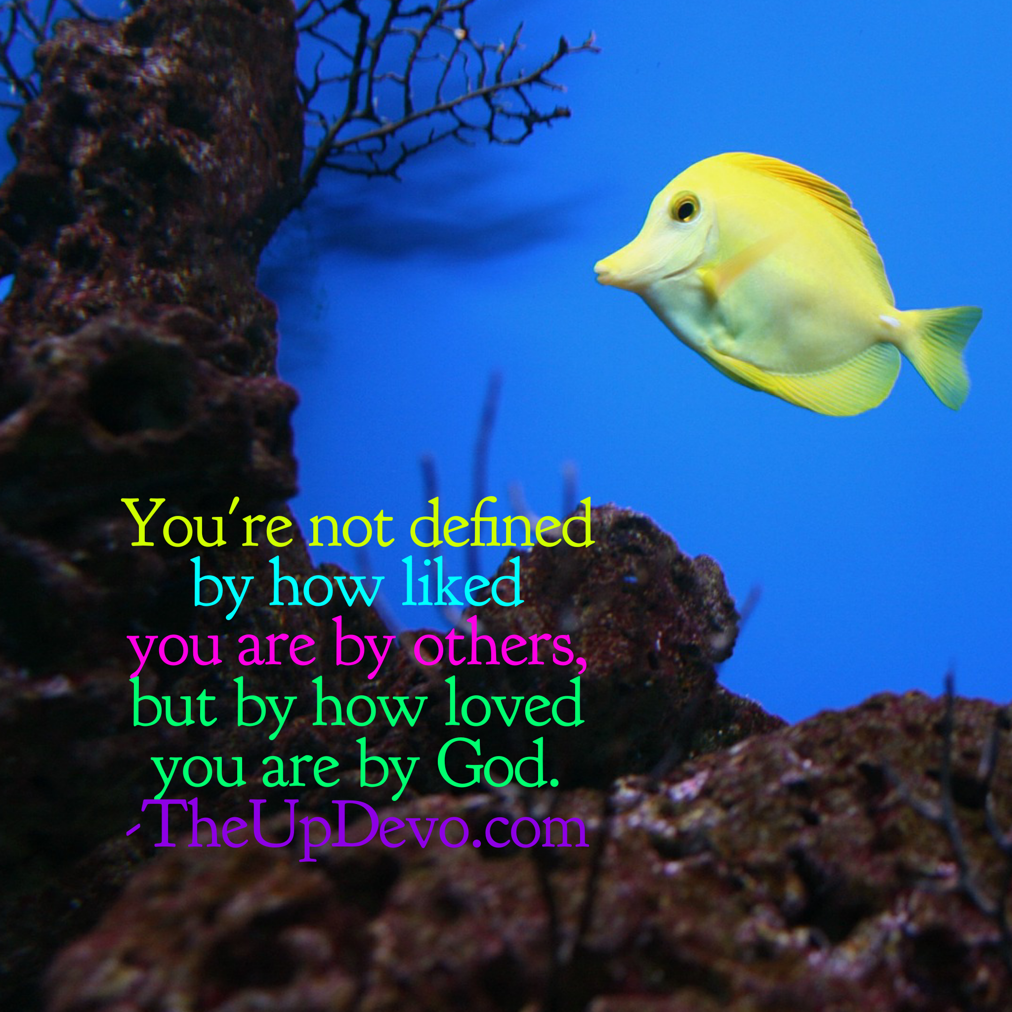 wordswag_1498655435865