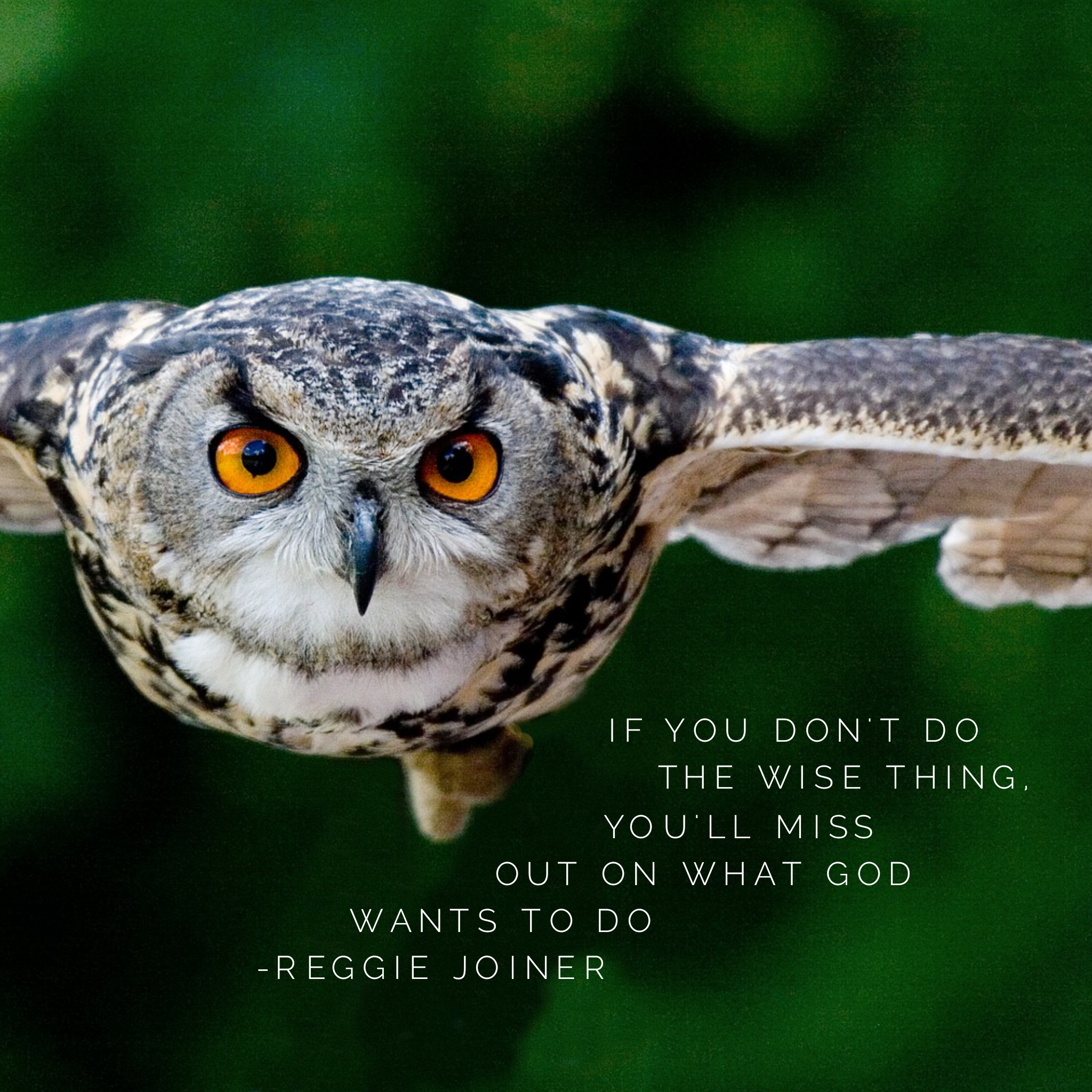 wordswag_1499110197128