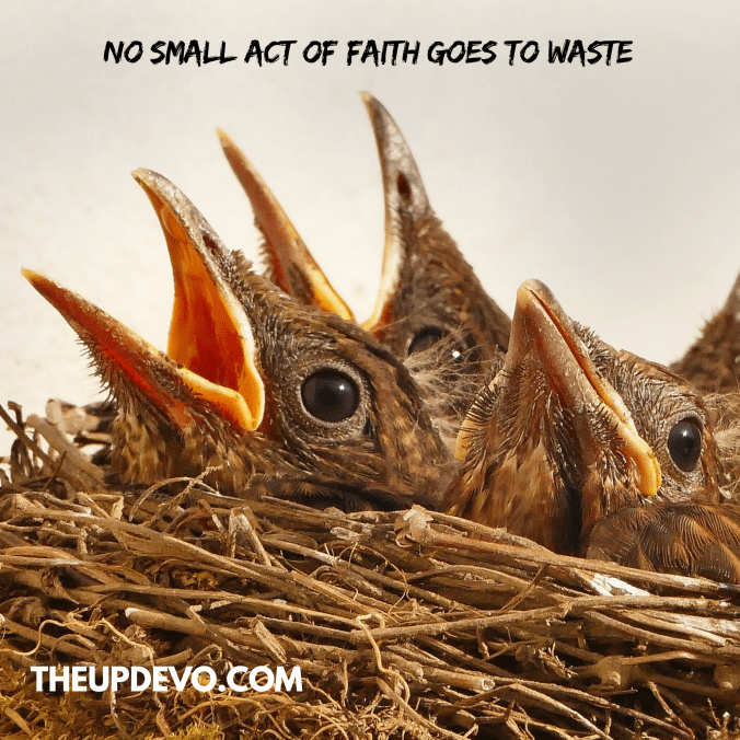 wordswag_1500919323805