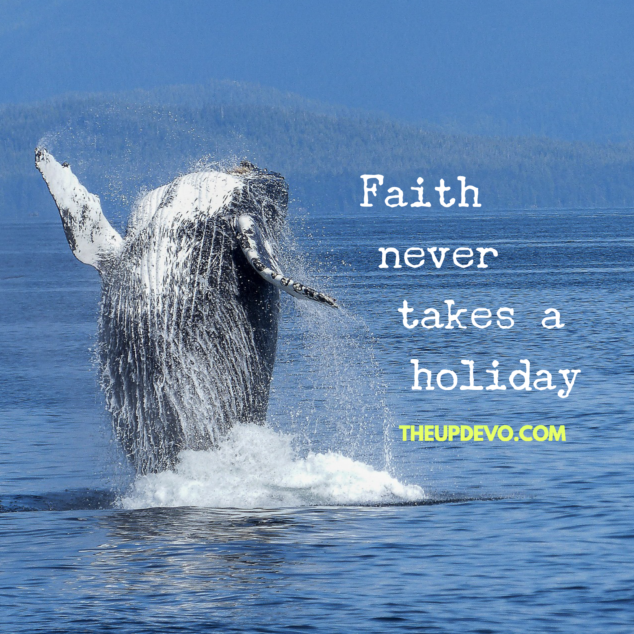 wordswag_1501894845205