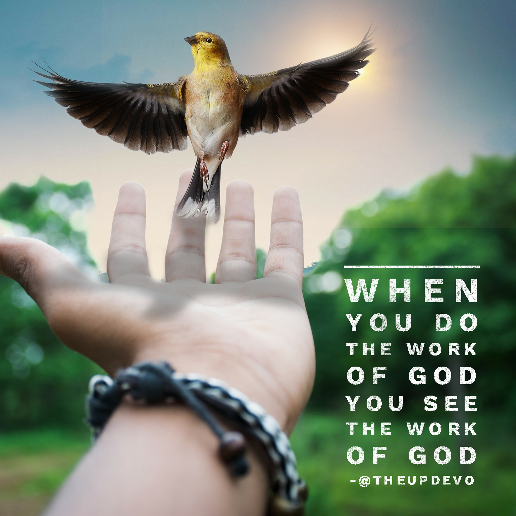 wordswag_1513283901926