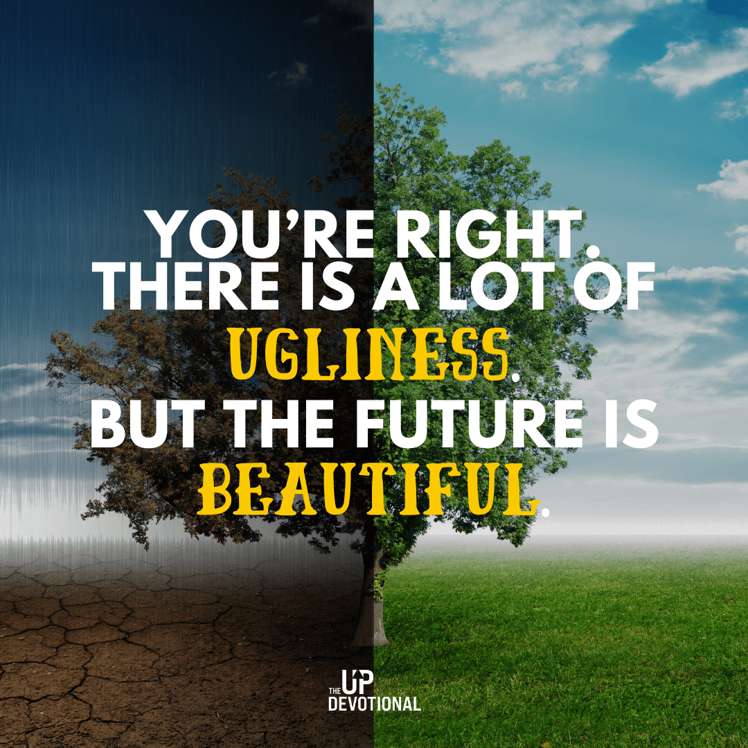 Ugliness and beauty