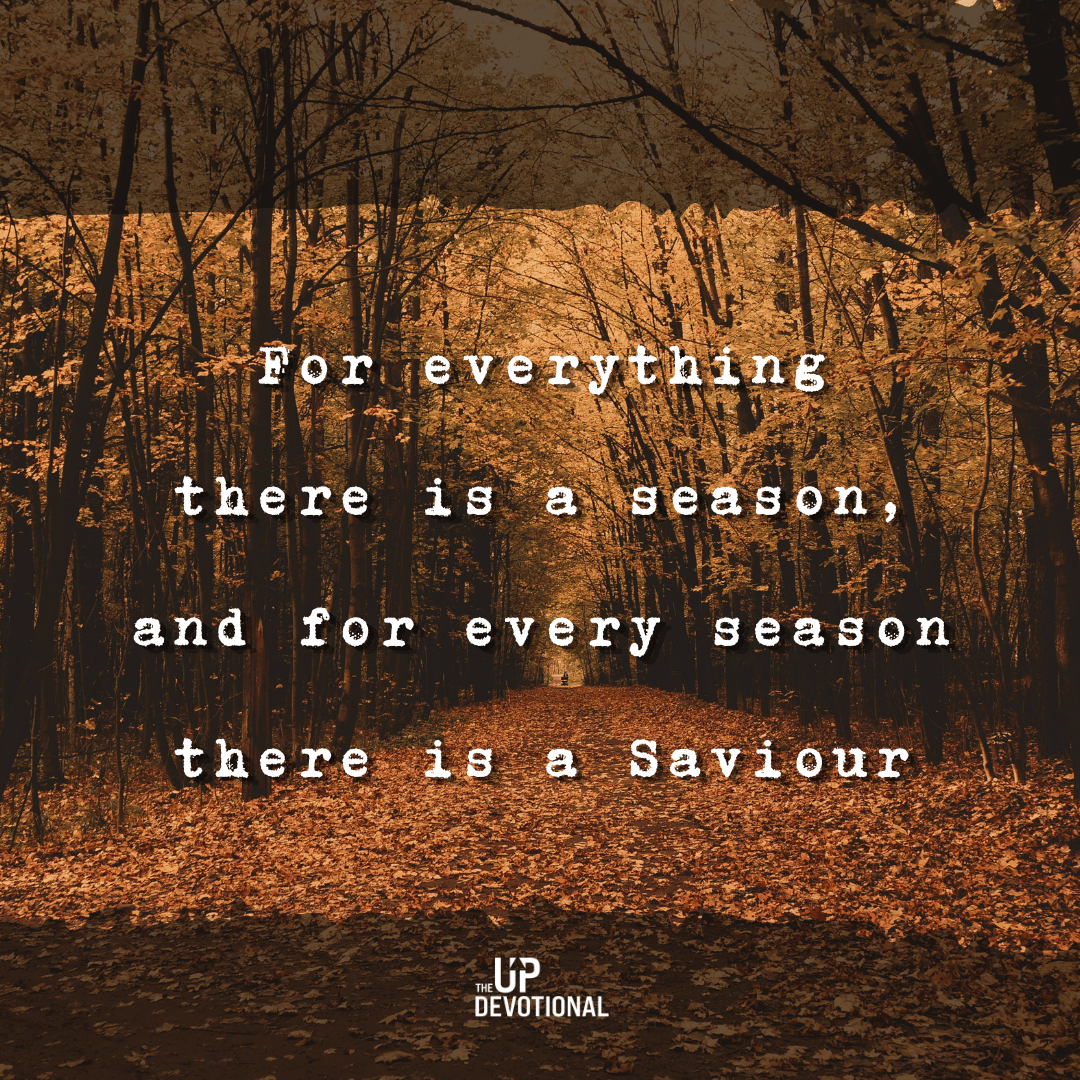 For every season there is a Saviour